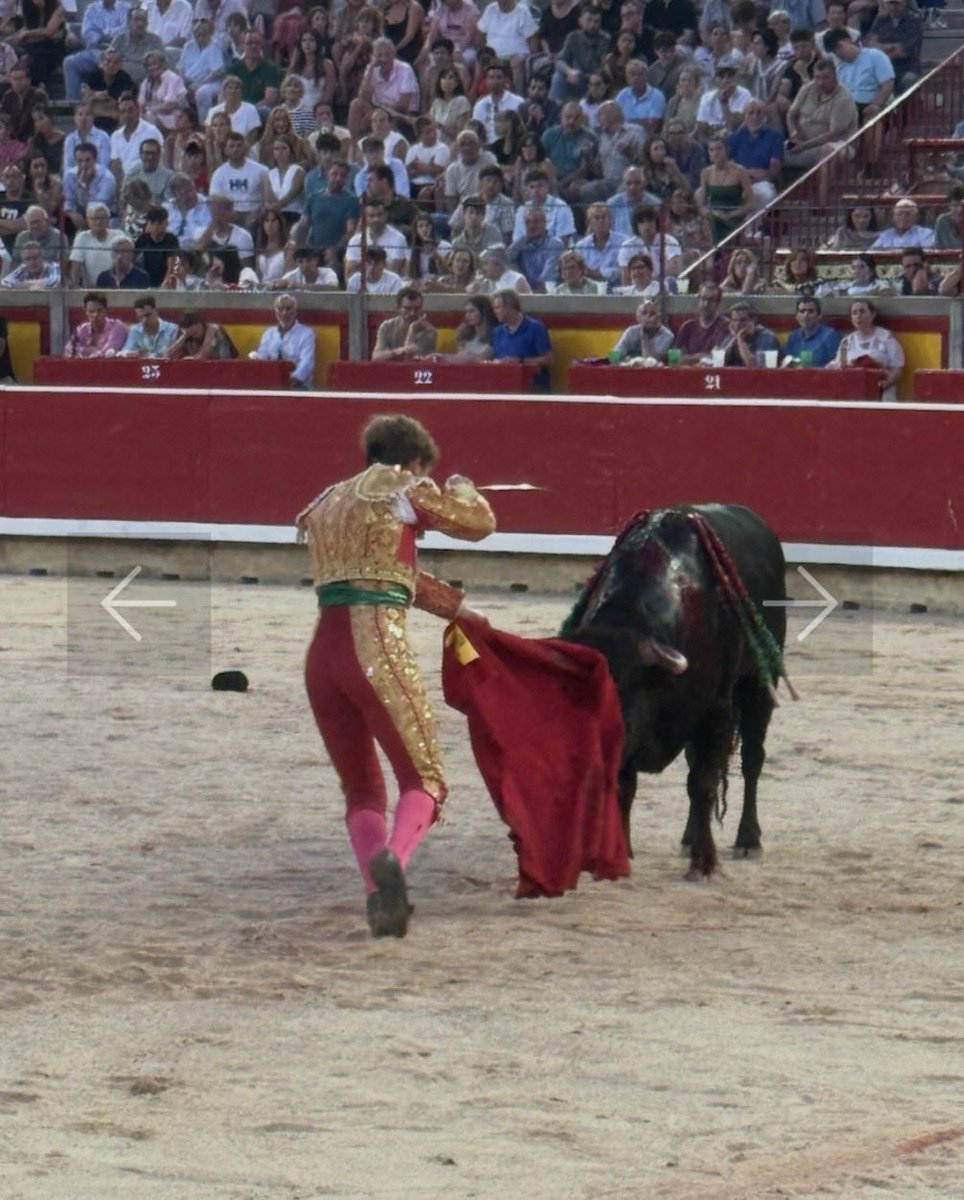 dolorlumbar's tweet photo. https://t.co/0RHwQFoHR2 Novillada del día 6 https://t.co/Lp2rypaxd7