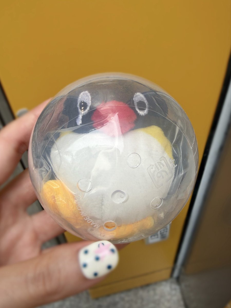 mayu (@mayu_ExWHYZ) / Posts / X