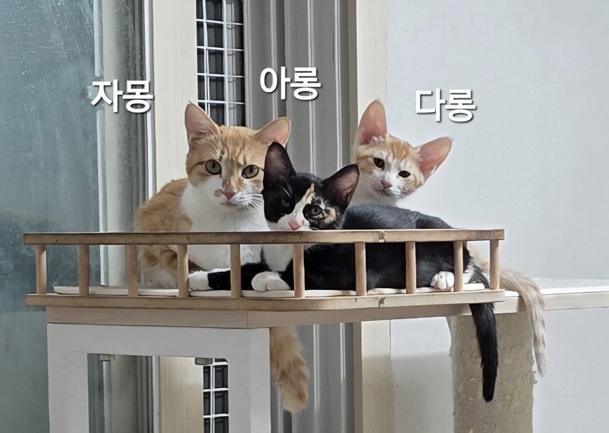 guricatshelter's tweet photo. #입양홍보

이쁜자몽이가 가족을기다리고있어요
10개월령 종합접종ㆍ광견병ㆍ레볼함
6개월첫발정에4아가를 출산해2아가는고별로가고 2아가는아롱이다롱이가되어구리쉼터에서지내고있어요
다롱이는좋은분만났고 아롱이와엄마자몽이는가족을기다리고있어요~ https://t.co/Q3O3EOuaIV