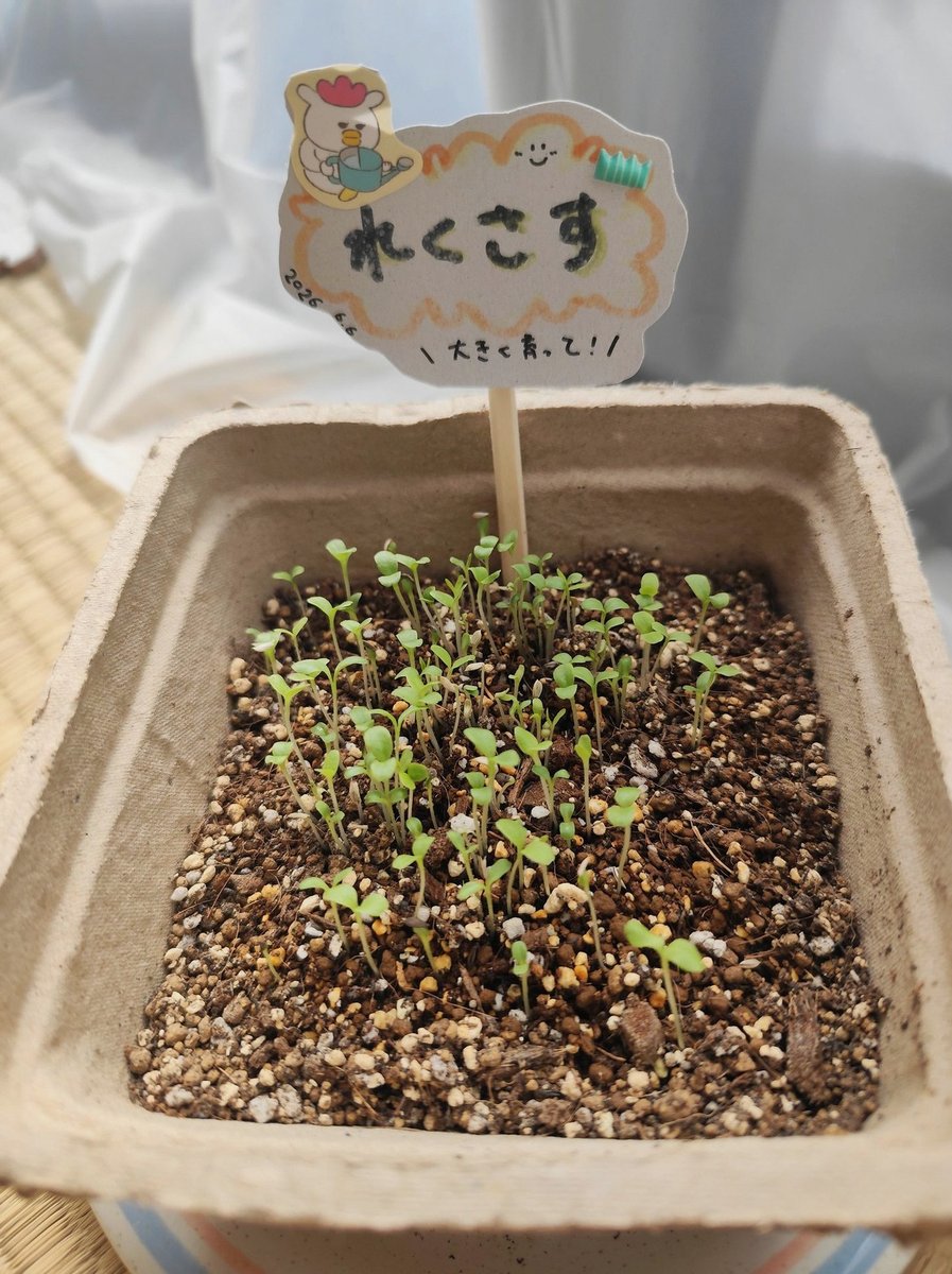koc_raci's tweet photo. ﾄﾘｺ達ほんとにいい顔してた。
幸せだし貴重な時間だよねほんとに。 https://t.co/rniIEIyYJf