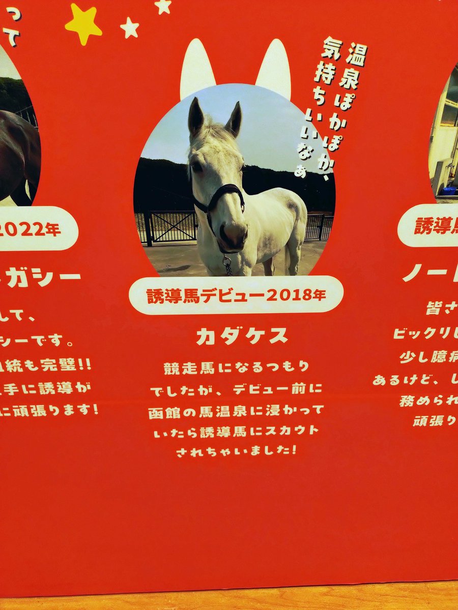 hermitdal520's tweet photo. 夏の競馬旅行函館
東京に慣れてるせいか何もかもが小さく身近に感じた
そして思ったより寒かった https://t.co/YqZYkXDAlp