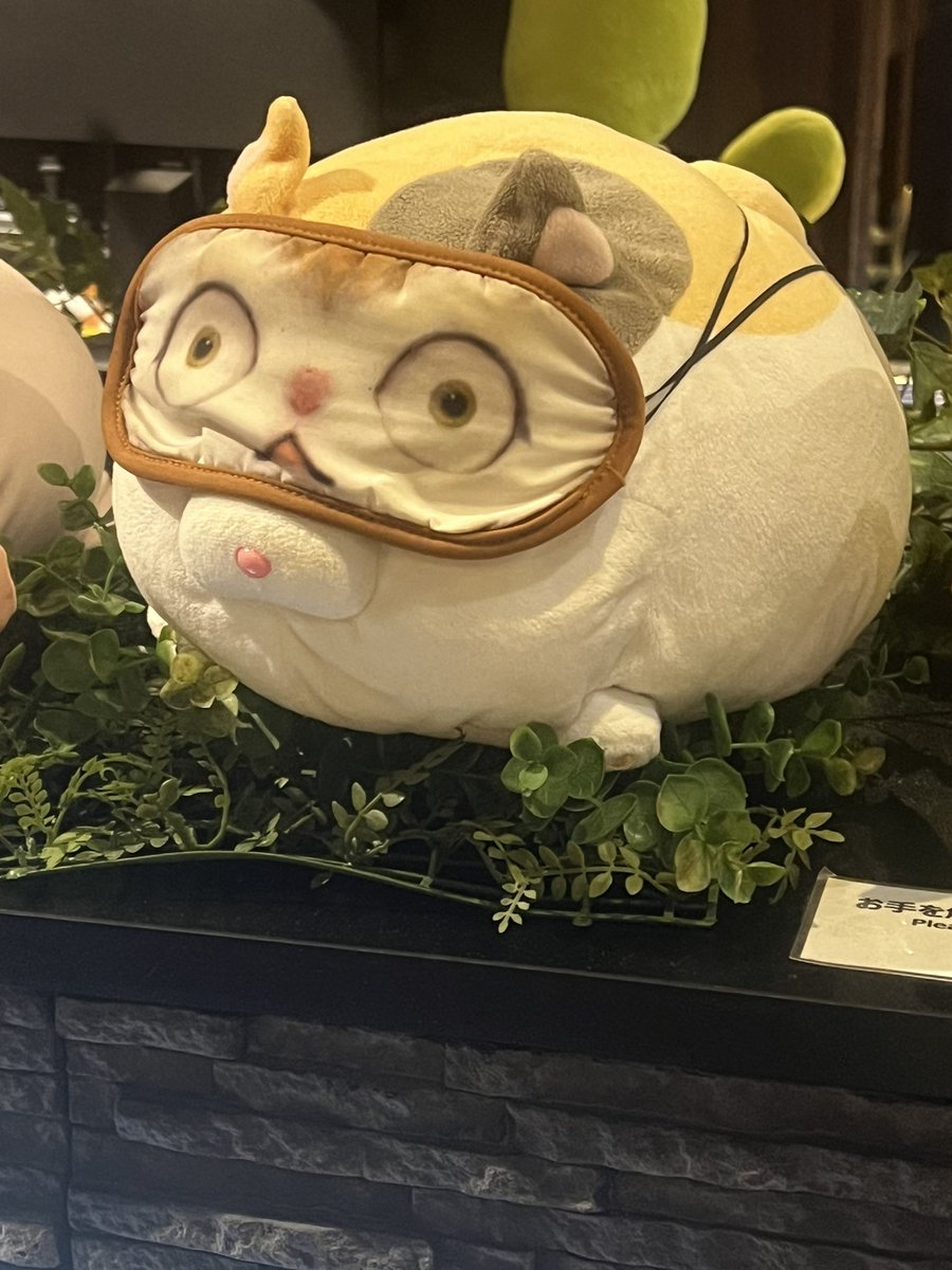 Hibiki_watari's tweet photo. おいいぃぃ！！俺のアリゼーの顔がぁ！！
#FF14 #エオカフェ https://t.co/vNucz0aG2Q