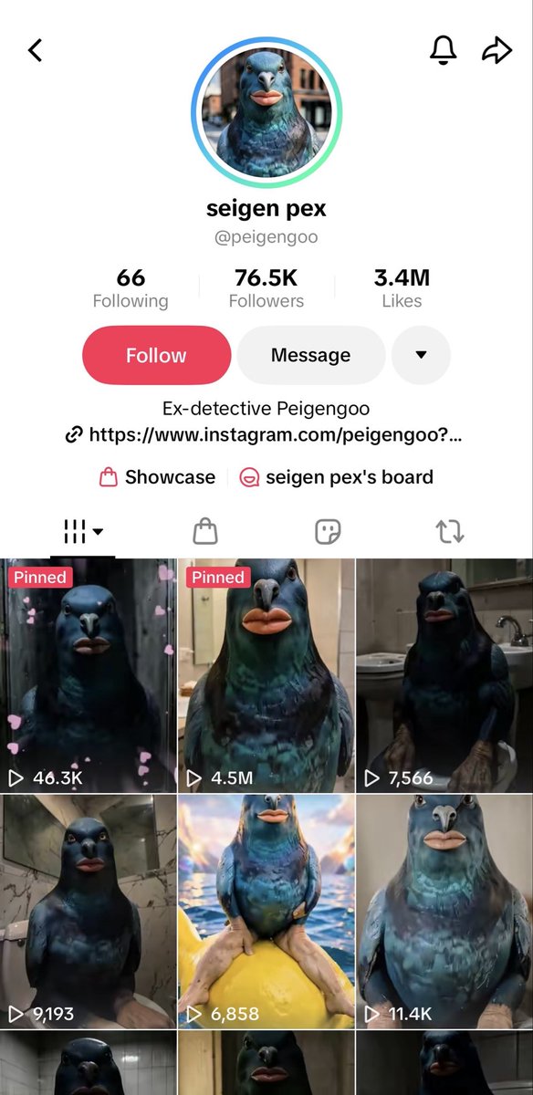 lowcaphawk tweet media