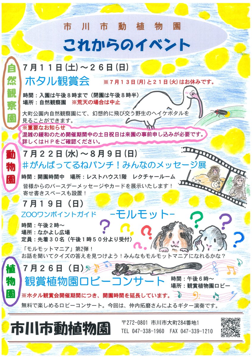 ichikawa_zoo's tweet photo. そろそろ夏本番…？
イベント情報です！

#市川市動植物園
#イベント
#ホタル観賞会
#がんばってるねパンチ！
#ＺＯＯワンポイントガイド
#モルモット https://t.co/rSJgeRsJbZ