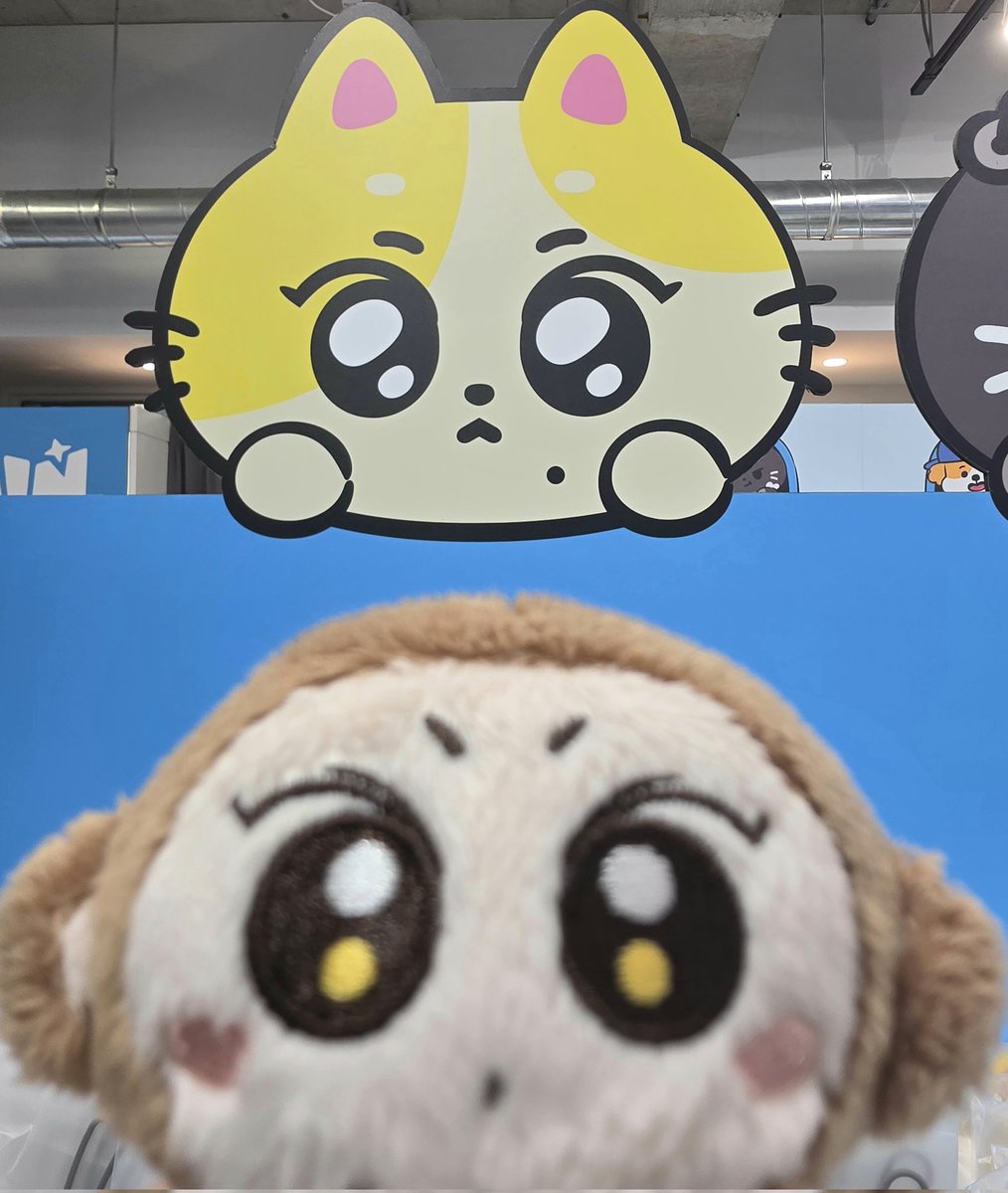 ぴょん！😺🐵🩷