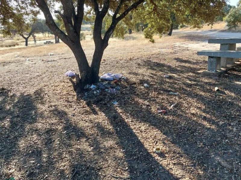 planetaalex's tweet photo. @Antonio88331282 @LaEtxebarria Teniendo razón en cuanto al basurero y urinario en que se ha convertido Madrid con absoluta "libertad" y permiso del Ayuntamiento de @MADRID , os pido que dejéis a la #CasadeCampo fuera de vuestras "soluciones", que ya tiene lo suyo y debemos cuidarla.
No es otra letrina.
(sigo) https://t.co/dkD3F6iWNe