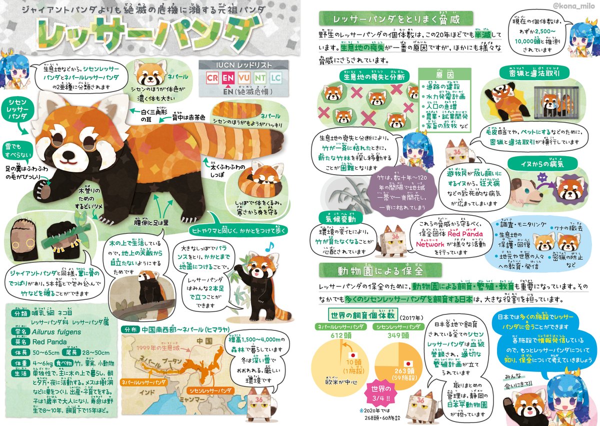 kona_milo's tweet photo. 今まで2亜種だったレッサーパンダが、それぞれ独立種になるという情報を見て驚き。
和名ではネパールレッサーパンダがニシレッサーパンダに、シセンレッサーパンダがヒガシレッサーパンダになるみたいですね。
絶滅危機動物ファイルのレッサーパンダを再掲してみます（これでは亜種表記）。 https://t.co/NaWojs2OEr