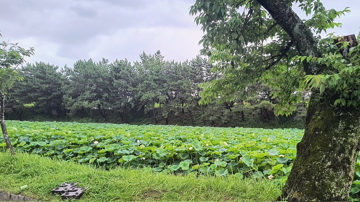 Trem0r0's tweet photo. 呪禁
3まな https://t.co/wrzv7UTjy8