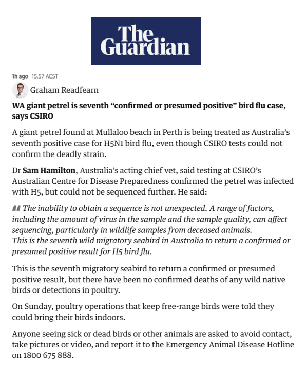 BigBadDenis's tweet photo. 🇦🇺Australia's 7th “confirmed or presumed positive” H5N1 Bird Flu Case.

"A giant petrel found at Mullaloo beach in Perth is being treated as Australia’s seventh positive case for H5N1 bird flu"

Source: https://t.co/551wqHQXW8 https://t.co/43Wfaj54i4
