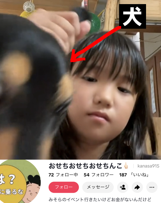 aigare01's tweet photo. Tik Tokで動物虐待
飼い犬を人形のように乱暴に扱う子供
耳を引っ張り、ヘアゴムで両耳を縛る

子供は面白いと思ってやってるんだろうけど
親は注意しろ！
Tik Tokアカウント名もふざけてて将来心配
手遅れになる前に通報したほうがいい
Tik Tok→ kanasa915
#動物虐待 https://t.co/qyYoTUj2py