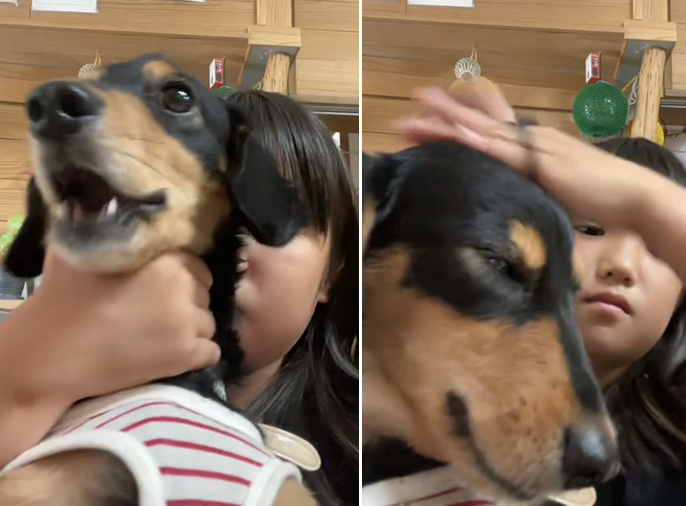 aigare01's tweet photo. Tik Tokで動物虐待
飼い犬を人形のように乱暴に扱う子供
耳を引っ張り、ヘアゴムで両耳を縛る

子供は面白いと思ってやってるんだろうけど
親は注意しろ！
Tik Tokアカウント名もふざけてて将来心配
手遅れになる前に通報したほうがいい
Tik Tok→ kanasa915
#動物虐待 https://t.co/qyYoTUj2py