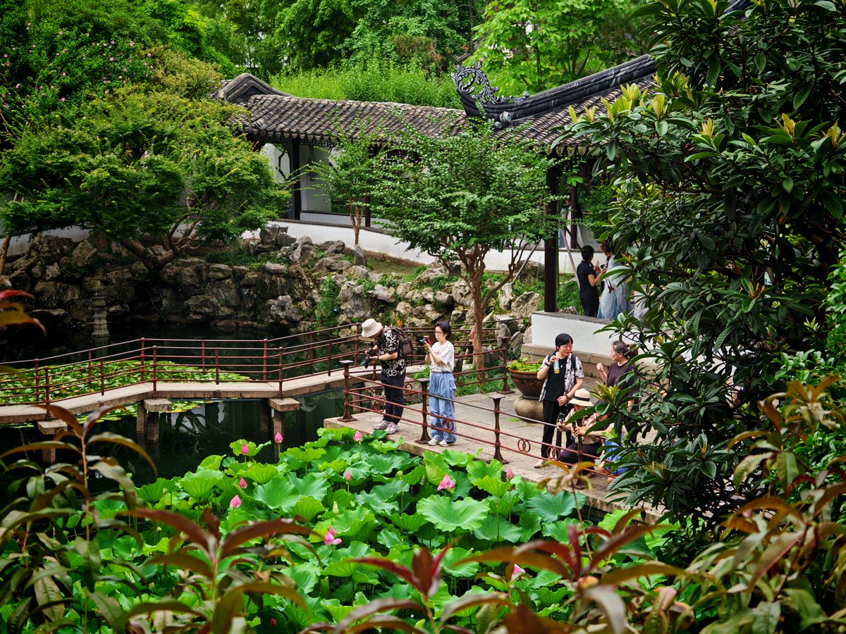 Pray_che's tweet photo. 苏州之旅 https://t.co/I9qaEmdFyc