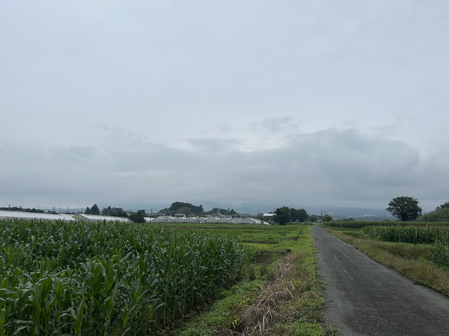 Gunma_Space's tweet photo. 2026年7月6日 – 本日・今朝の赤城山 – 今日も群馬県前橋市より発信。今朝も梅雨ど真ん中の曇り空。今朝も赤城山は雲の中です。曇り時々雨 24℃/20℃ しっとりと小雨舞う今朝のお散歩タイムでした。
https://t.co/xUsfN3HHfI https://t.co/ojnAh0Qd9V
