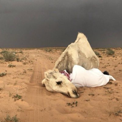 أبو تَميمّ | Abo Tamim 🇸🇦 tweet media
