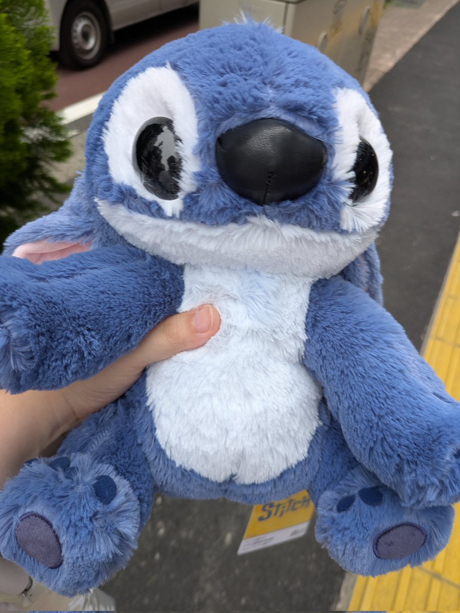 ichika_alba's tweet photo. プライズでお迎え！3700円！普通に買ったくらい！！ https://t.co/qOYdjGGwdQ