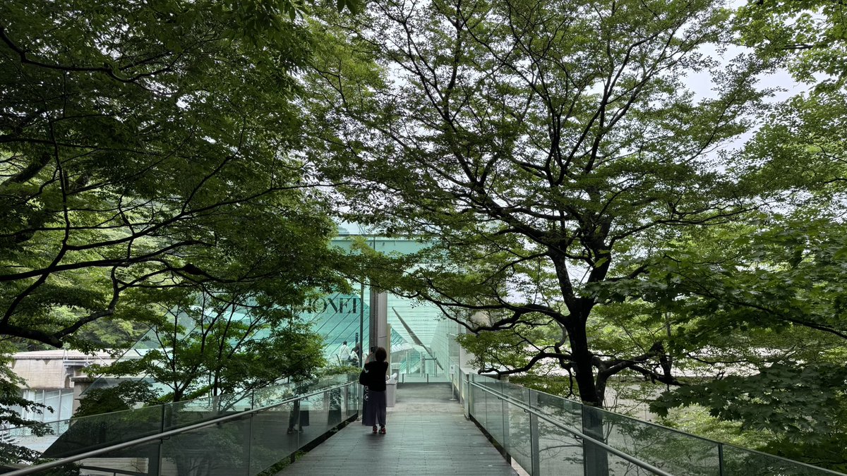 liebejudith's tweet photo. ポーラ美術館のモネ展を観てきました。
ここの所蔵の睡蓮の池がとても好きです。

そして、この美術館も大好きです。
森の中にある、自然の中の美術館。
年に数回は訪れています。 https://t.co/8YTtS1a67p