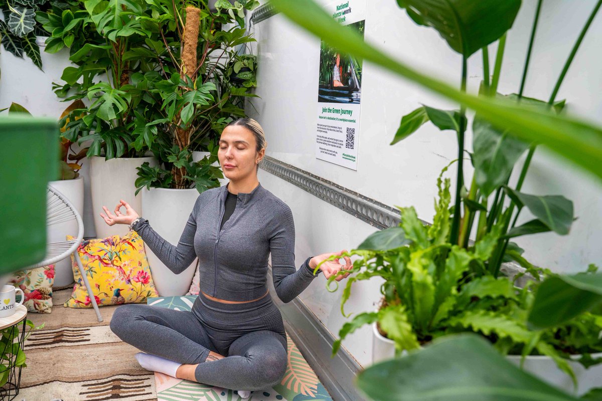 plants_atwork's tweet photo. Nature is moving into the office! We’re officially kicking off National plants@work Week 2026 with "The Green Journey"—a mobile oasis bringing biophilic design to workplaces near you. https://t.co/4IUWjYbrOR
#PlantsAtWorkWeek #BiophilicDesign #WorkplaceWellbeing https://t.co/hoigvPREQc