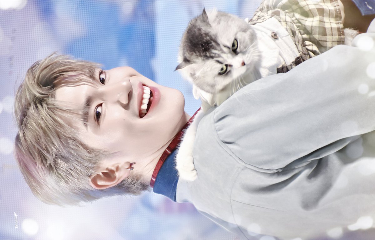 ✦ ❣︎ 𝟭𝟴.𝗼𝗰𝘁𝗮𝗽𝗿 ♡ ⋆ 🐈🌻 tweet media