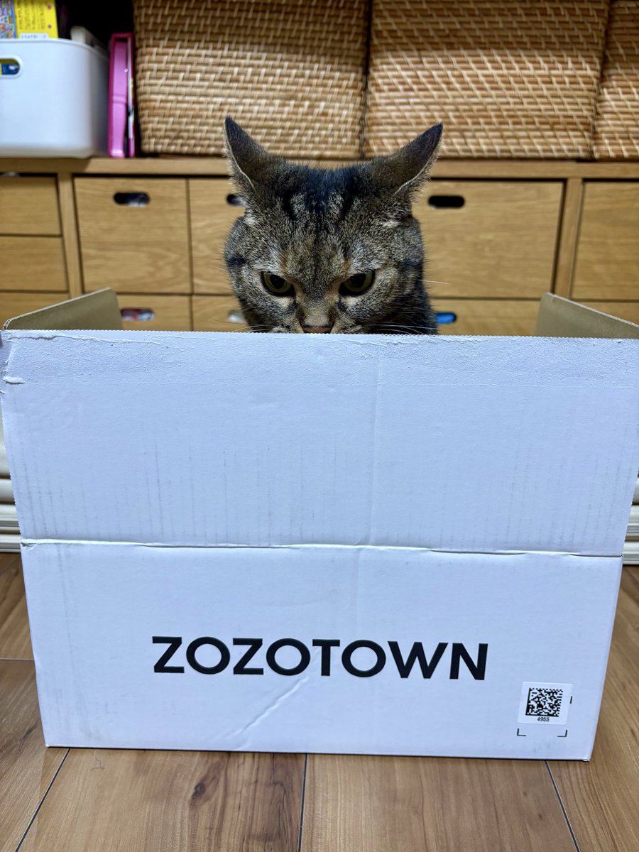 mugi2six's tweet photo. 白い箱届いた。気に入ったみたい。
#ZOZOSALE箱CP https://t.co/TArBZgD8x9