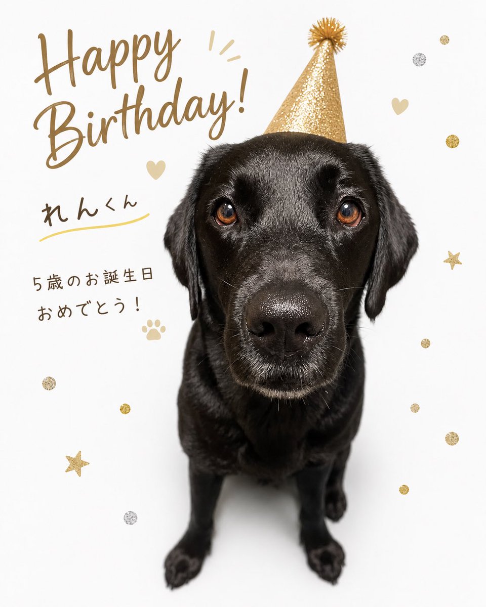 ymzkcst's tweet photo. れん5さいになりました🐕‍🦺✨あっという間の日々で毎日飼い主は幸せです♡りくといつまでも元気でいてね！！
#ラブラドール #黒ラブ #チョコラブ #大型犬 #多頭飼い https://t.co/lheHJVGCtT