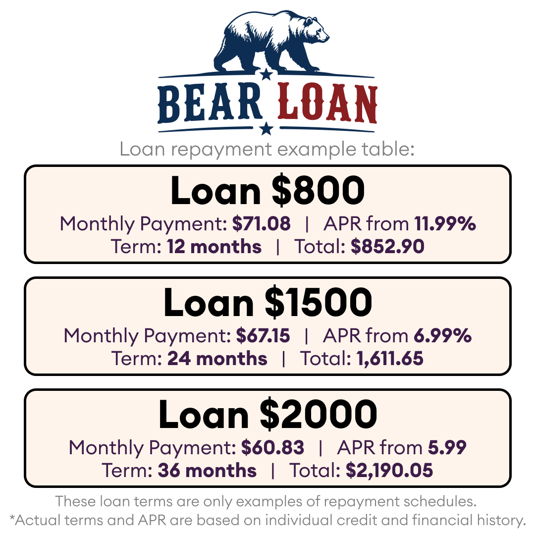 TheBearLoan's tweet photo. 💵 Discover the best offers now!