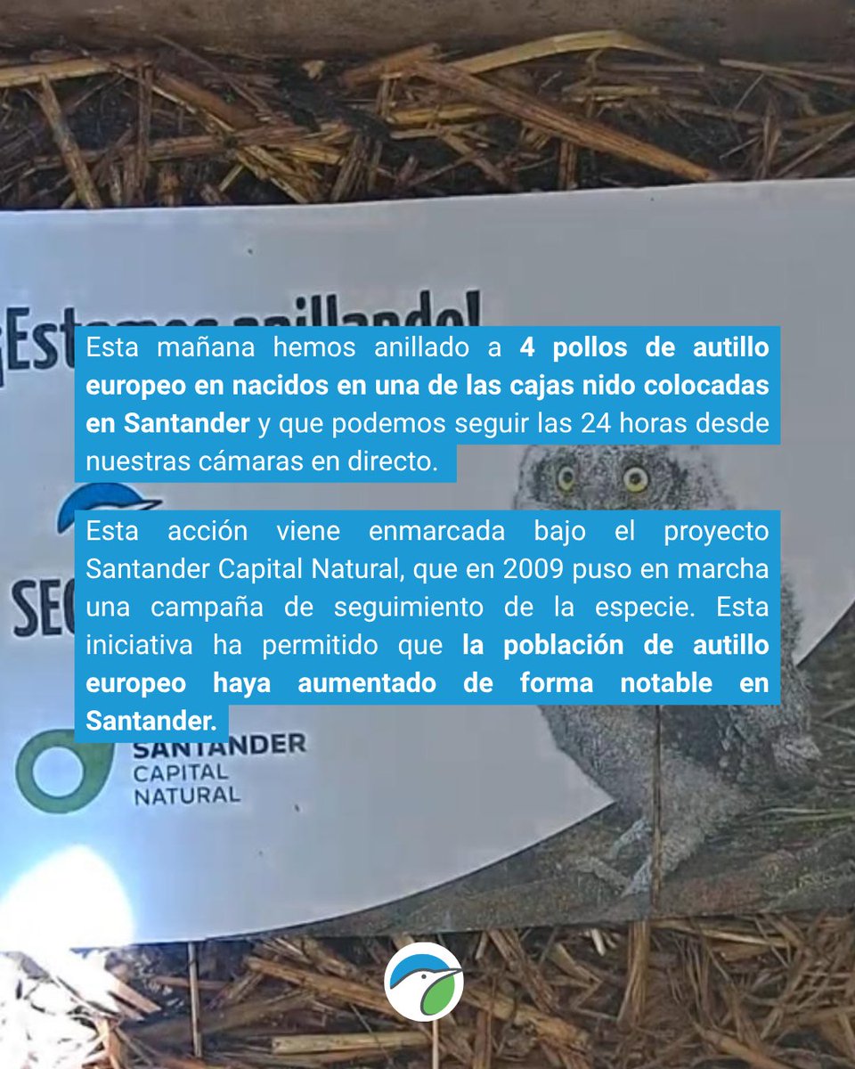 SEO/BirdLife tweet media