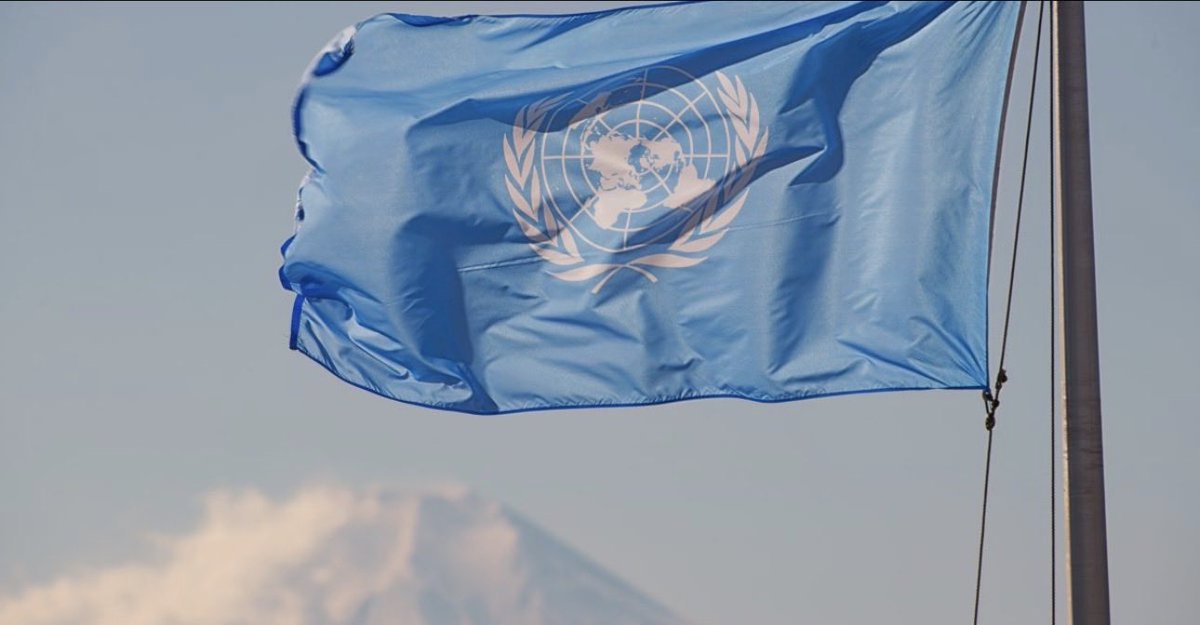 gatewaypundit's tweet photo. UN Fires Whopping 70 Gaza Staffers in Wake of Israeli Claims Aid Workers Were Terrorists, as Tel Aviv Provides Evidence of Claims

Link in the comment section. https://t.co/YsEfTKAMmY
