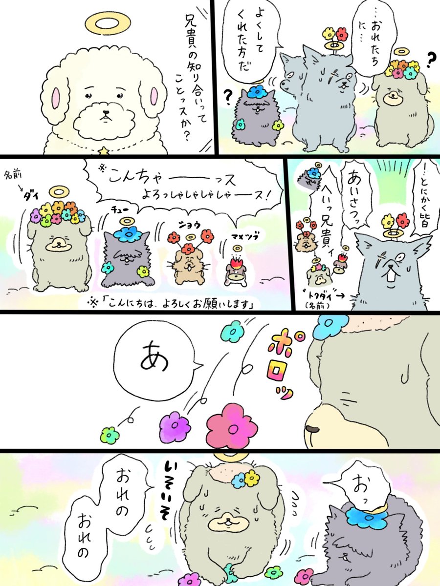 天国での暮らしはどうですか「花の恩返し」② 