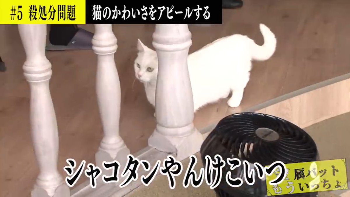 DEATHONDA_JP's tweet photo. https://t.co/Lfp5M9DCSV