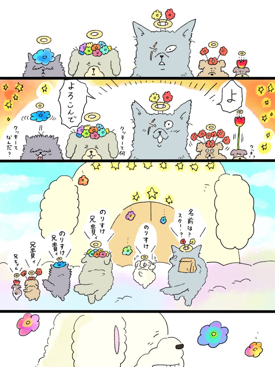 天国での暮らしはどうですか「花の恩返し」③
おわりです🐕️🌟 