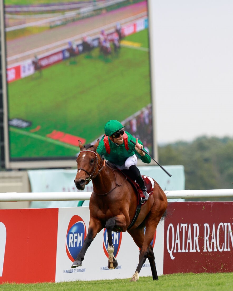 AgaKhanStuds's tweet photo. 🏆 Cartier Champion 3YO #Vadeni completed the Prix du Jockey Club 🇫🇷 - Eclipse Stakes 🇬🇧 double in 2022.

✅ He was also a Stakes winner at 2.

Don't miss his first yearlings @InfoArqana next month! https://t.co/tyITZJIvFR