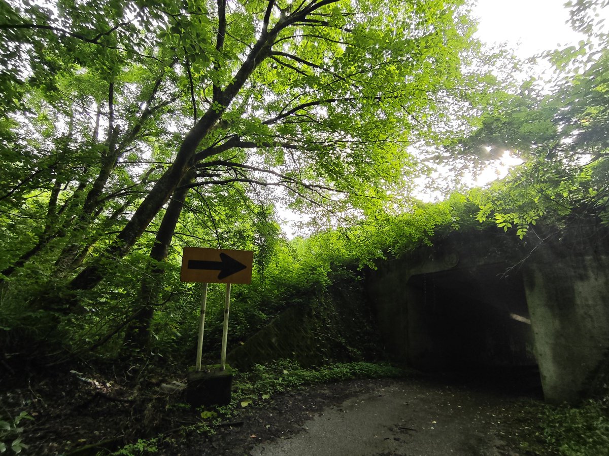 mirlu_exe's tweet photo. Starting a new path https://t.co/j7W9l3SHff