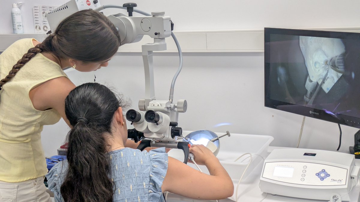 IBSAL_IIS's tweet photo. Hoy hemos recibido a las/os estudiantes del Campus de Verano de Cultura Científica y de la Innovación de @UCCiUSAL 🌞🔬 en el Quirófano Experimental (@IBSAL_IIS-@usal), en la Facultad de @MedicinaUsal.

👉 Conoce más: https://t.co/o5BqqtBZb0 https://t.co/f61K43iJey