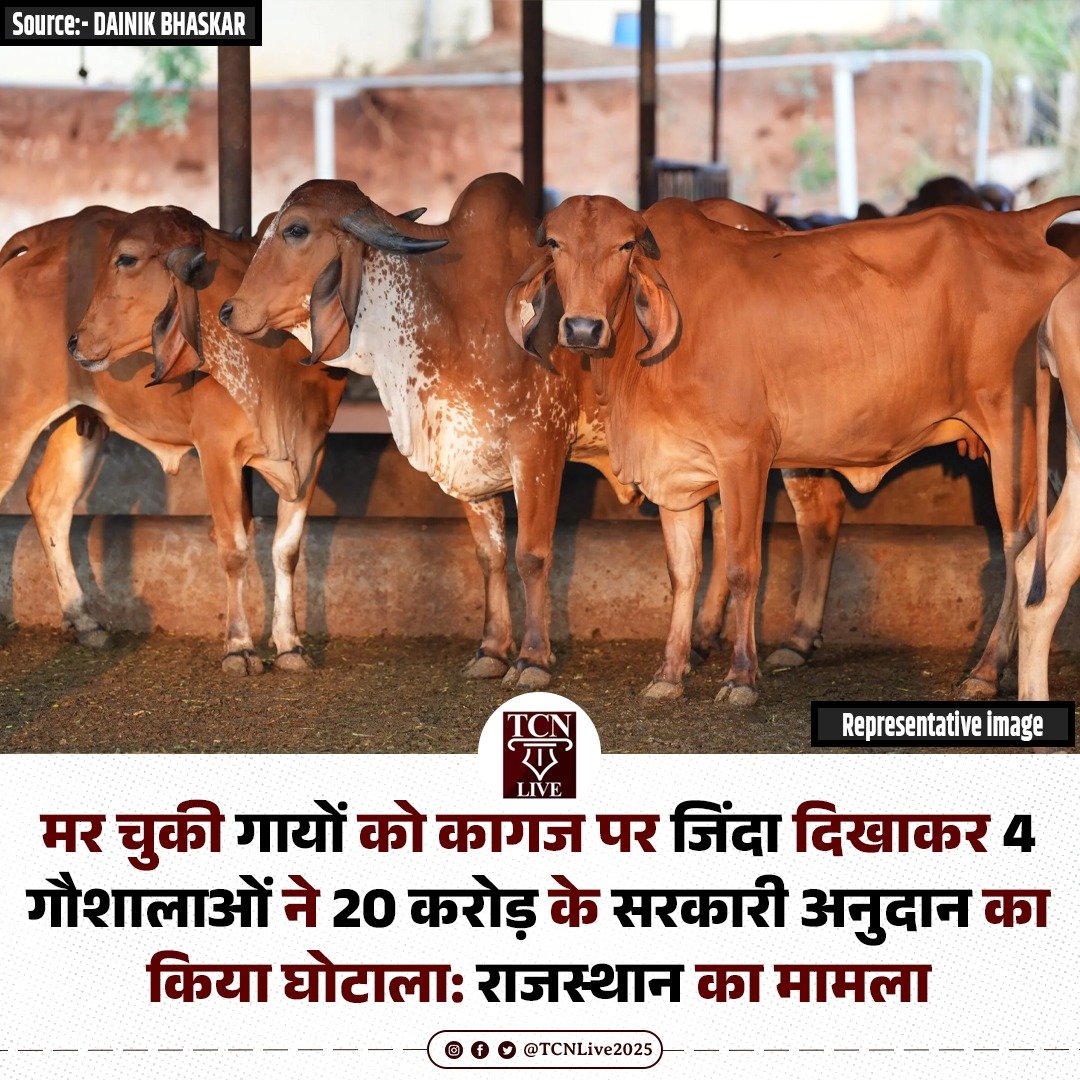 NationalDastak's tweet photo. गाय के नाम पर लूट। https://t.co/kqKsVHvnGp