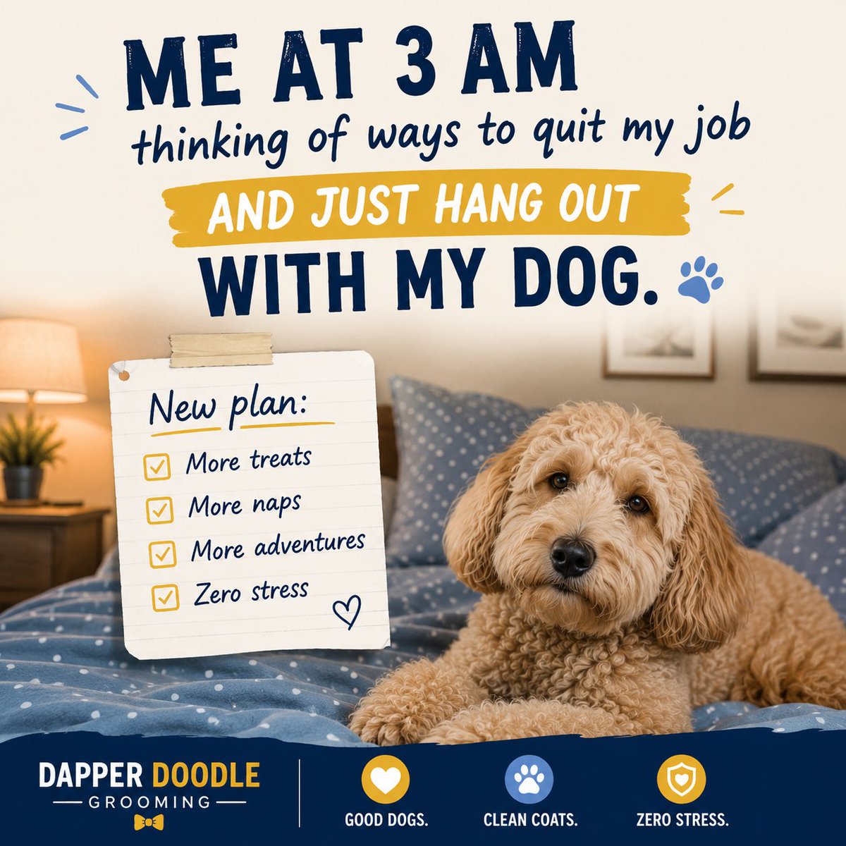 Dapper Doodle Grooming (@DapperDoodle45) / Posts / X