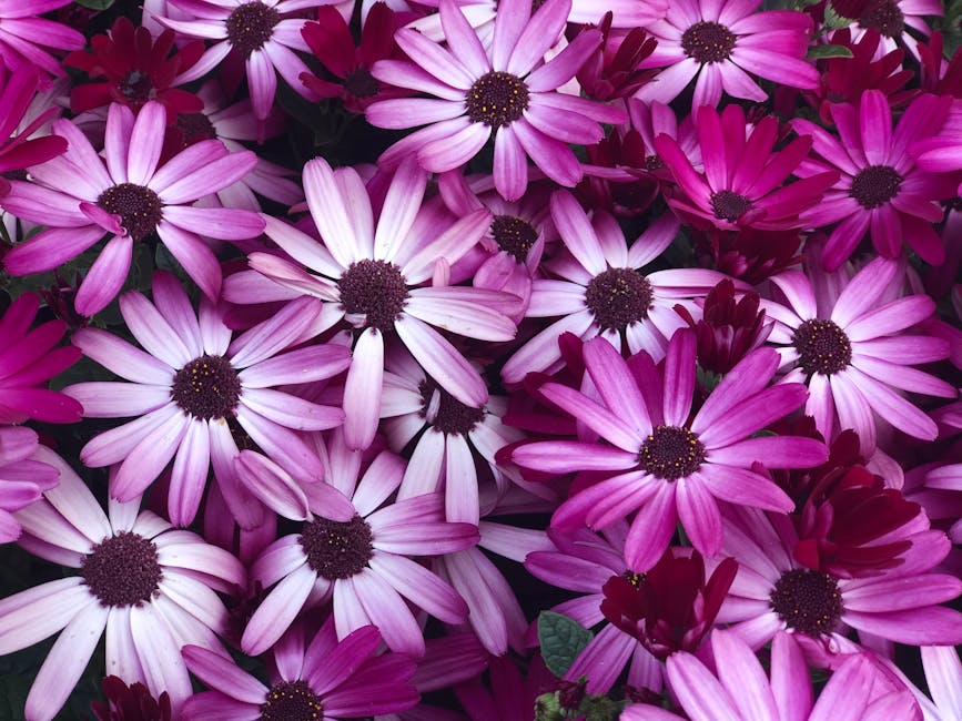 CarolynePiulb's tweet photo. شخصيتها تتألق بالصدق cordia surwillo✒️ https://t.co/L9gzbhhZdH