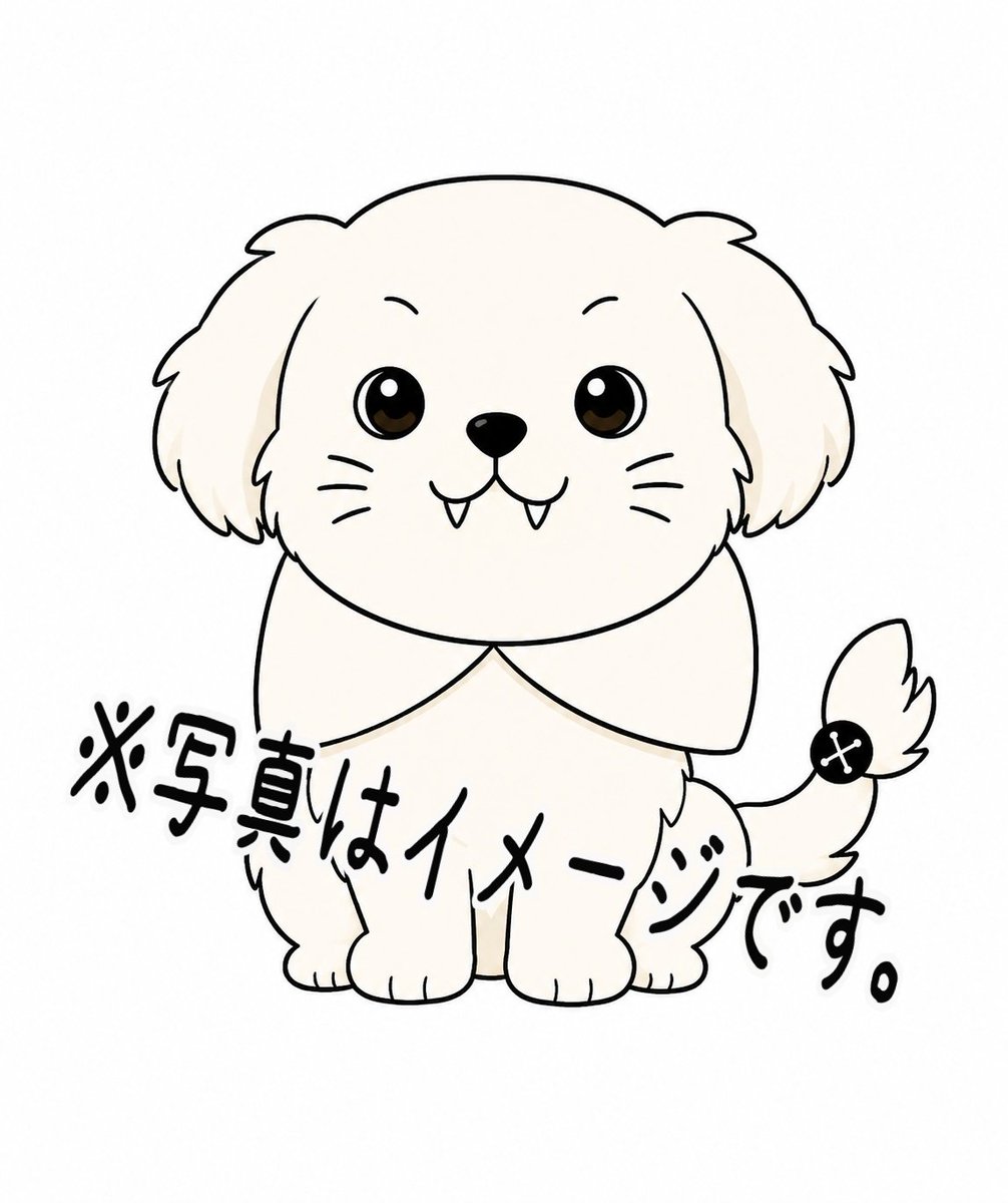 MAKKYBEAR's tweet photo. ファルライオン爆誕🐕

今胸毛がライオン🦁なのよ🤣 https://t.co/MDErJkI938