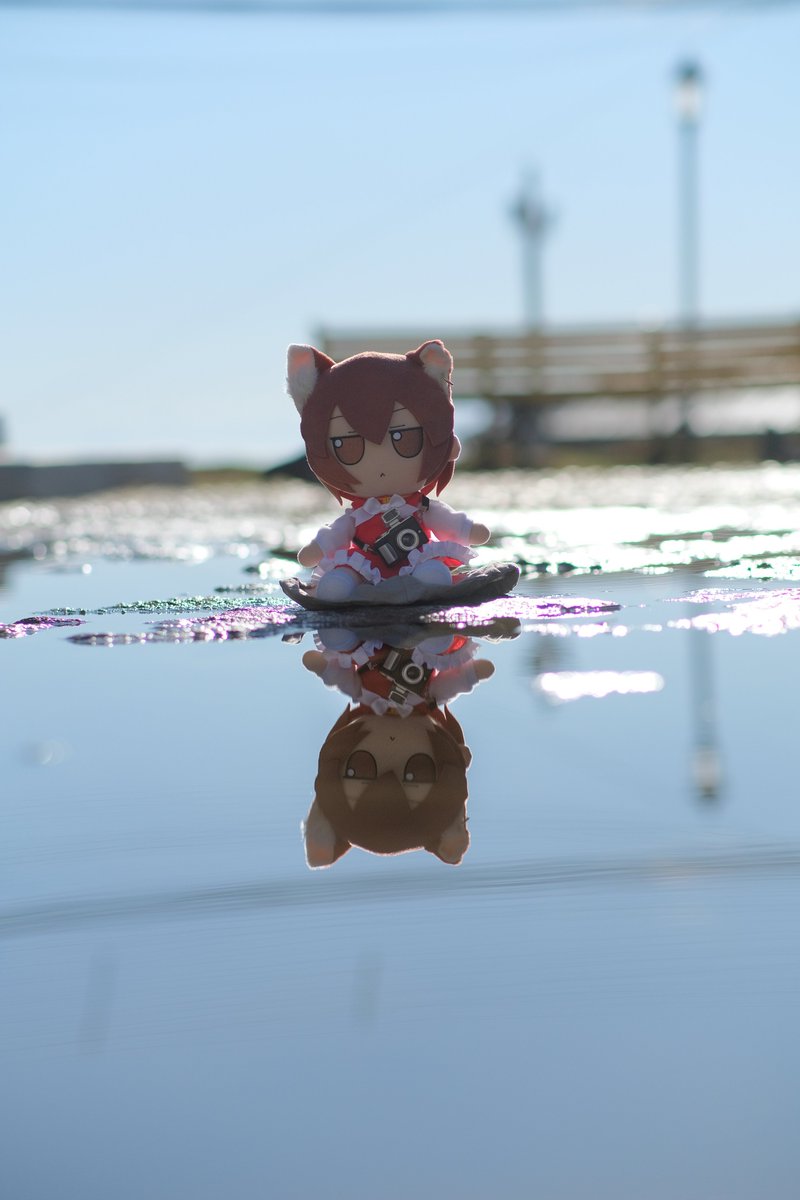 PlushFumo's tweet photo. Cat reflection https://t.co/MREVGjiiAp