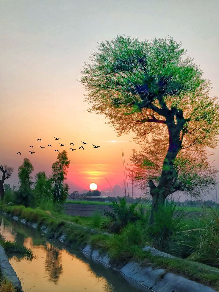 Lokiirsx's tweet photo. #بدايـــــــــــــــہ https://t.co/jd9pwZuodJ