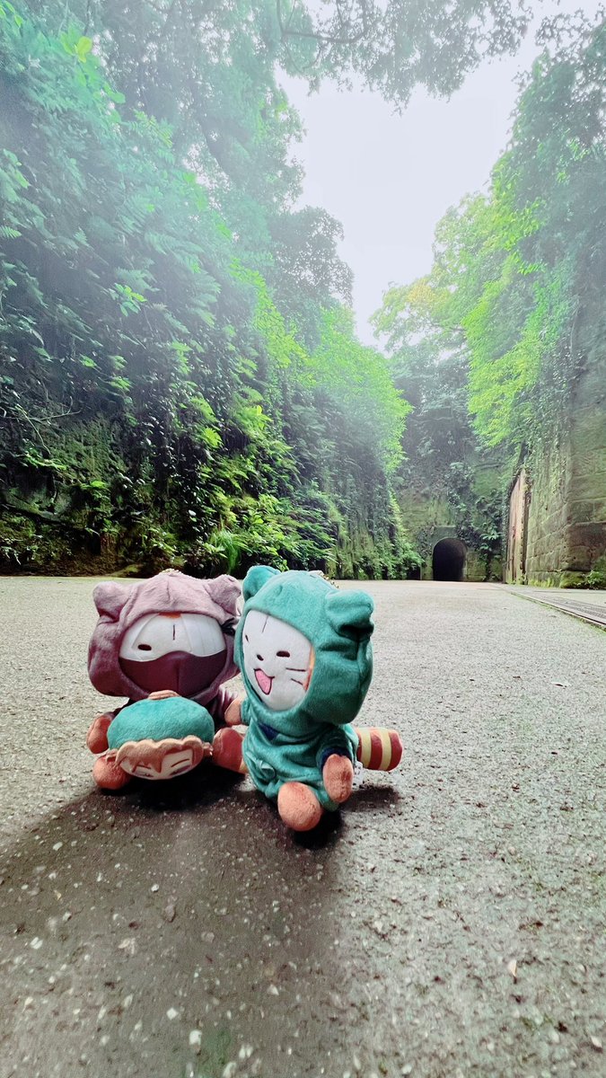 Flare_r0's tweet photo. 🐒🏝️💫
ちょっと島まで観光に行ってきました…❗️ https://t.co/WWxVmZtJF6