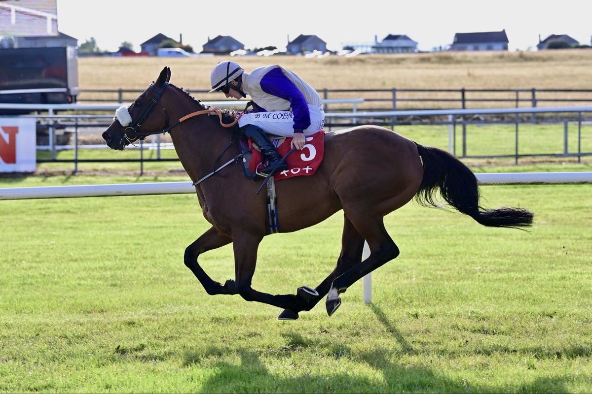 PimlicoRacing's tweet photo. When Zoffany Bay won the @TramoreRaces Derby 😍

We’re looking forward to seeing Churchwarden line up in this year��s renewal 💪 https://t.co/7kxo8GTKd2