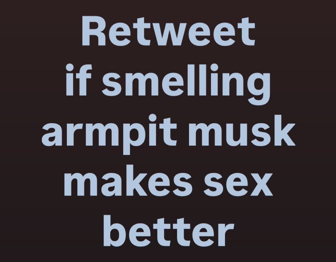 TheInfiniteLove's tweet photo. Pit musk makes the world a better place just by putting my face in it! https://t.co/j9doFQWDKq