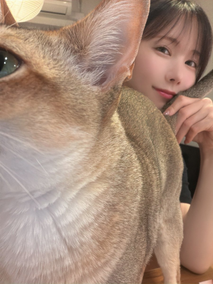 snexxxxxxx's tweet photo. 撮ってるの？🐱ズイズイ https://t.co/TYUPQITw8J