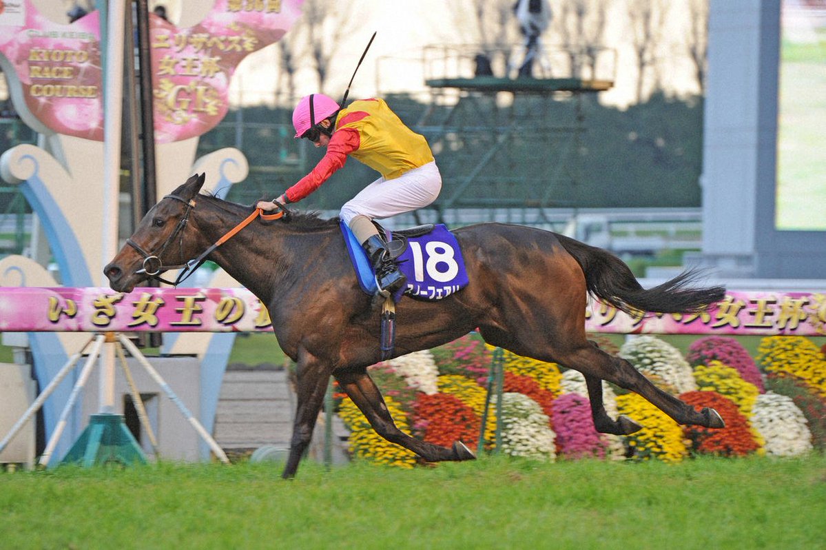 hatayuki511's tweet photo. @hhhhayatoraaaa 流石にスノーフェアリーやろ！！！
当時若き天才ライアンムーアと共に海外馬の日本g1連覇
レースがホンマに良い意味で狂ってるんよな～あの加速力ぶっ壊れやろ
フェアリーというかモンスターやん
香港との兼ね合いで多分エリ女やったんやろけど他のG1も余裕やったやろな、って思わせる https://t.co/7Nvj8oTJIZ