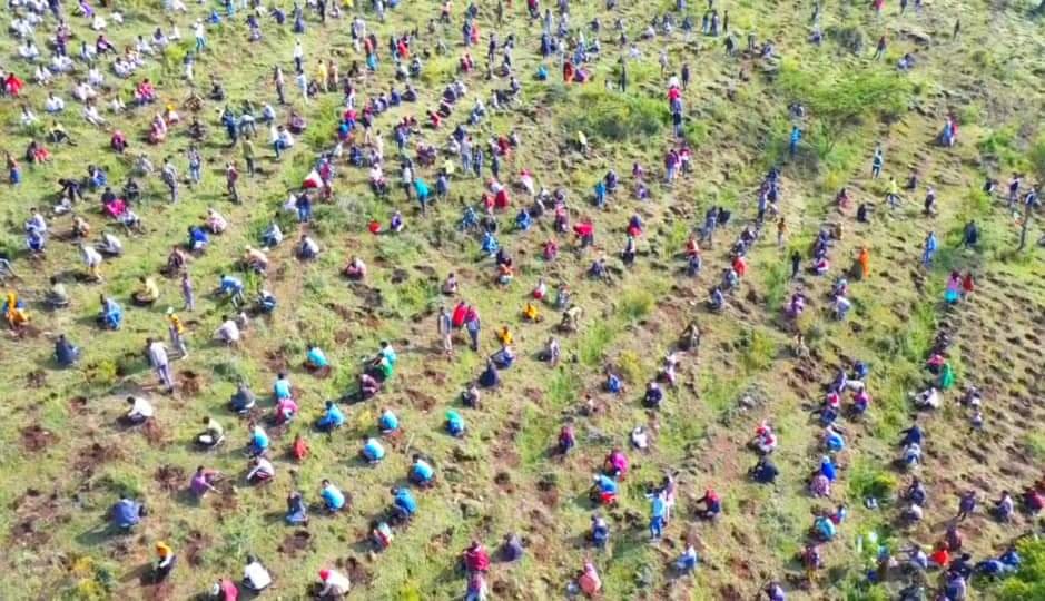 dessalegnmanaye's tweet photo. 🇪🇹 A dual effort to achieve a national goal! While some plant trees to combat climate change and deforestation, others work to complete a hydroelectric dam, harnessing clean energy. #Ethiopia: #UnitedforProgress! #NationalInterest 
@AbiyAhmedAli  @BerhanuTsegaye  @GHessebon https://t.co/bIz50yaASL
