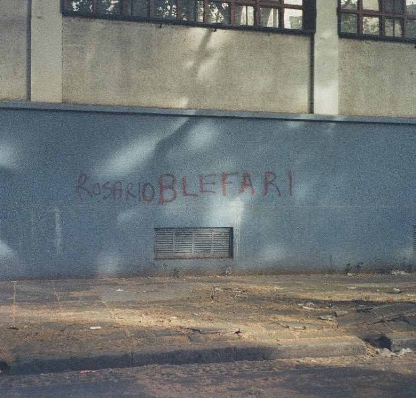 lamparadbotella's tweet photo. 🌹 https://t.co/CDocIjSCMk