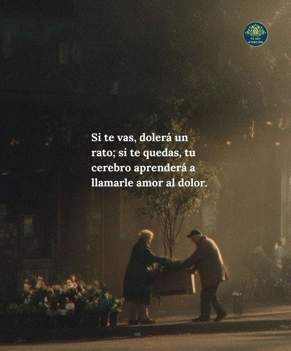 AtencionYoSoy's tweet photo. ❤️‍🩹 https://t.co/x67vFM70Nd