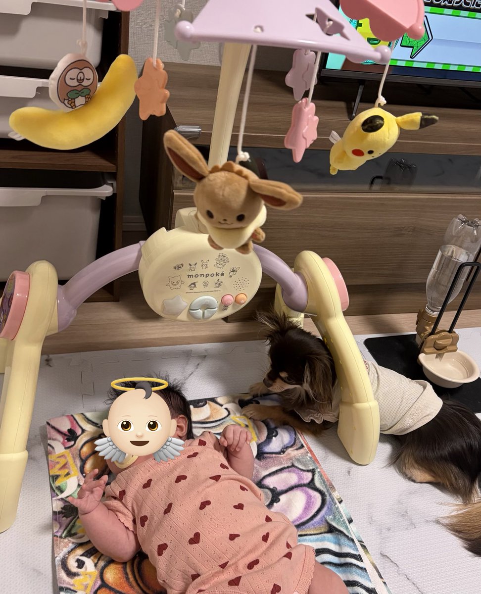 ai_bomb's tweet photo. 見守りーヌとポケメリー https://t.co/lZywuxdQsn