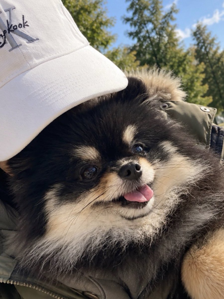 smol_kia's tweet photo. smells like chicken nuggets 🤣🍗 https://t.co/uPtQjwK3Py