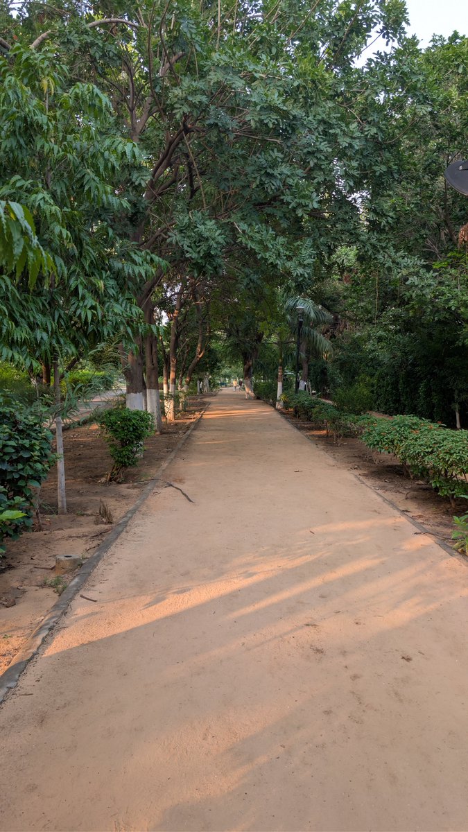 AHurket's tweet photo. Never really understood the point of earphones in the park. https://t.co/sxJYvavXmh